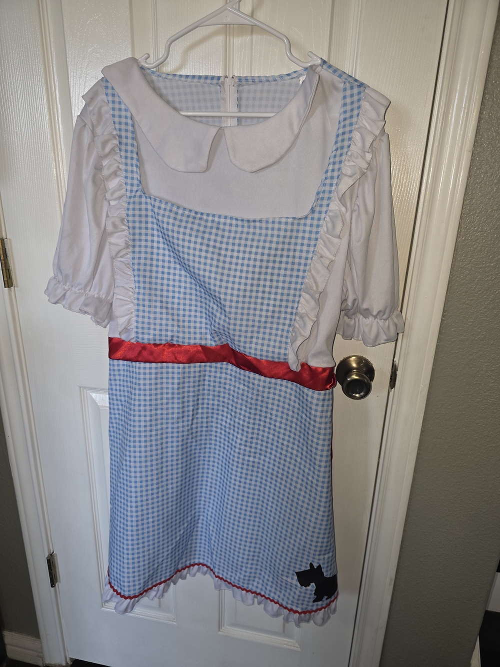 Dorothy Costume